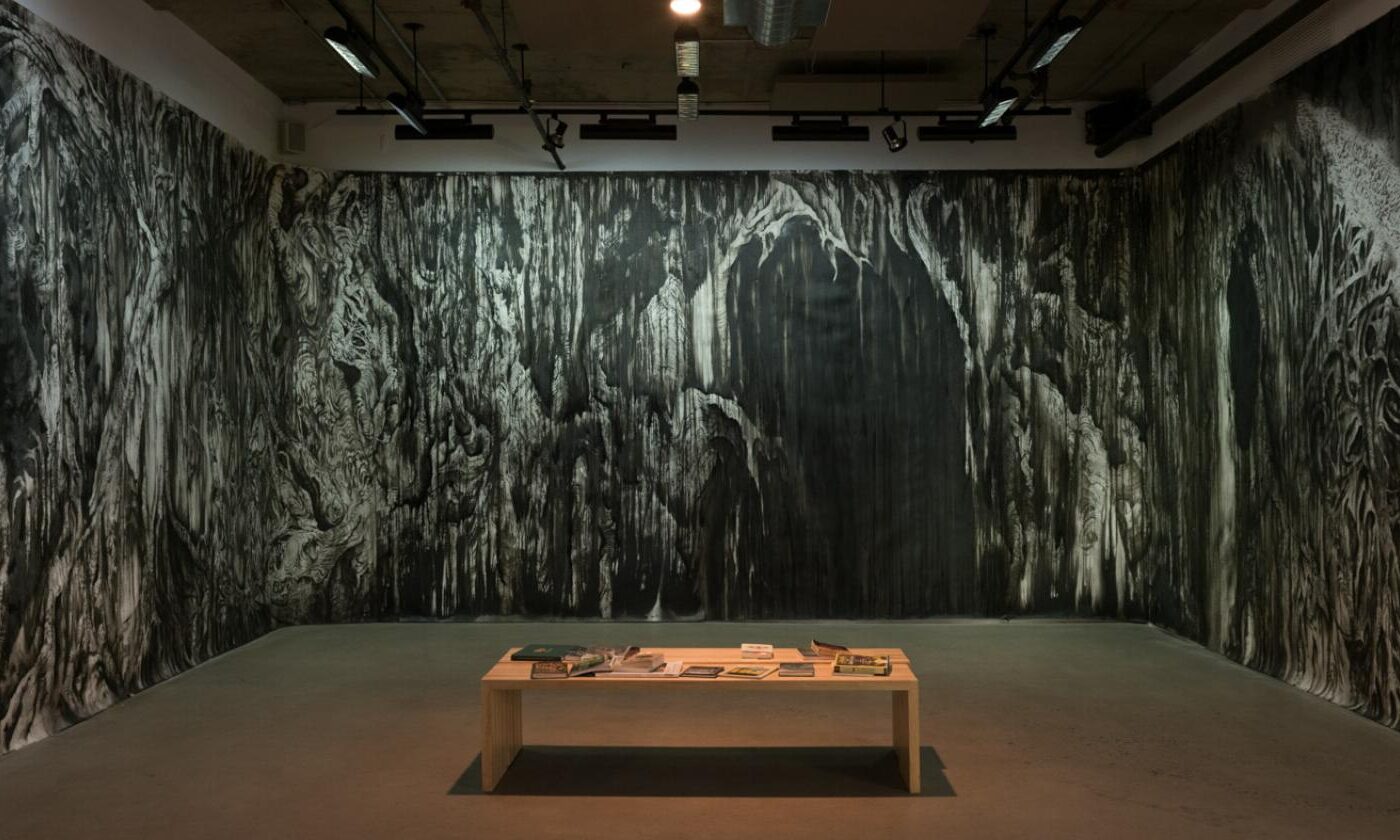 The Thicket de Jim Holyoak présenté à CLARK, nov 2016. Photo de Paul Litherland.