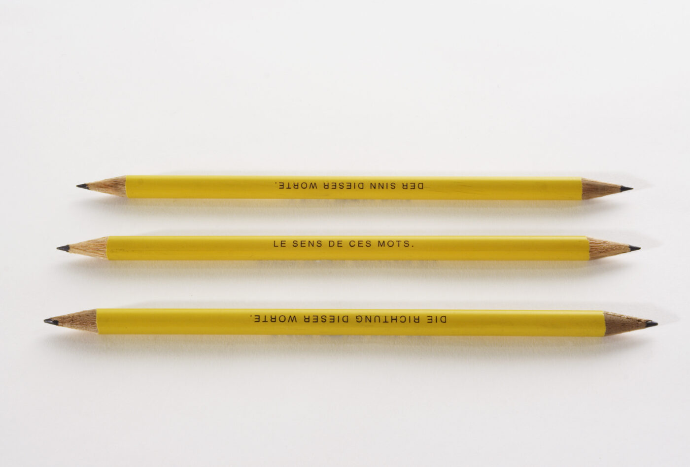 Carl Trahan, Le sens de ces mots (crayon bilingue), 2005