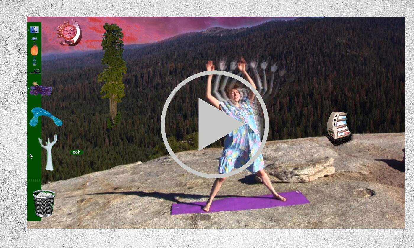 Whispering Pines 10 par Shana Moulton et Nick Hallett.