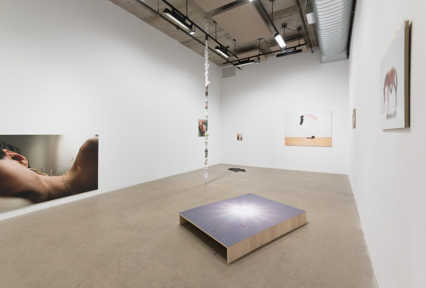 CRÉDIT IMAGE : PAUL LITHERLAND