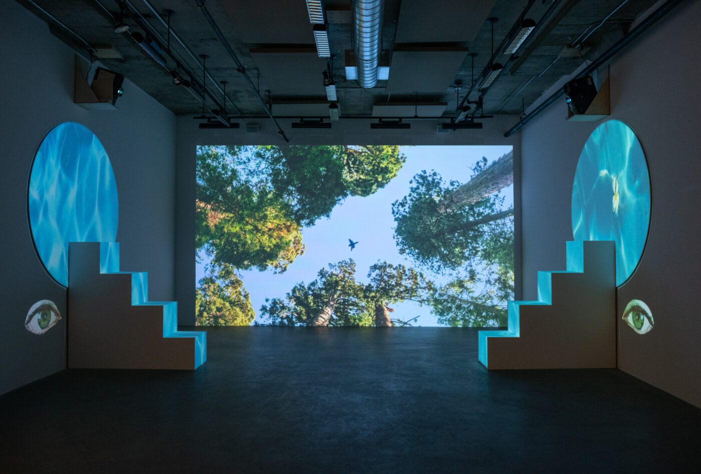 CRÉDIT PHOTO: PAUL LITHERLAND