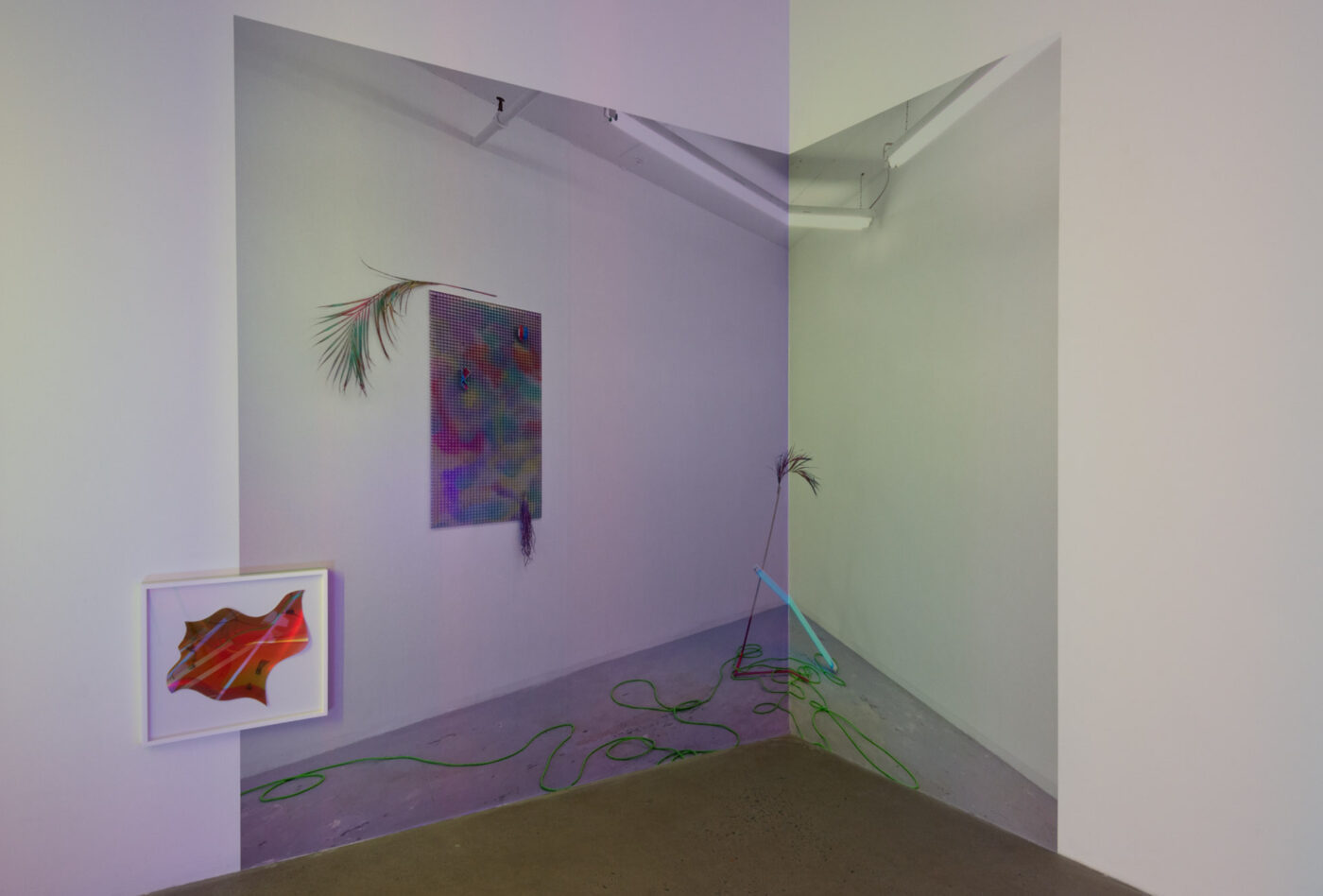 CRÉDIT PHOTO: PAUL LITHERLAND