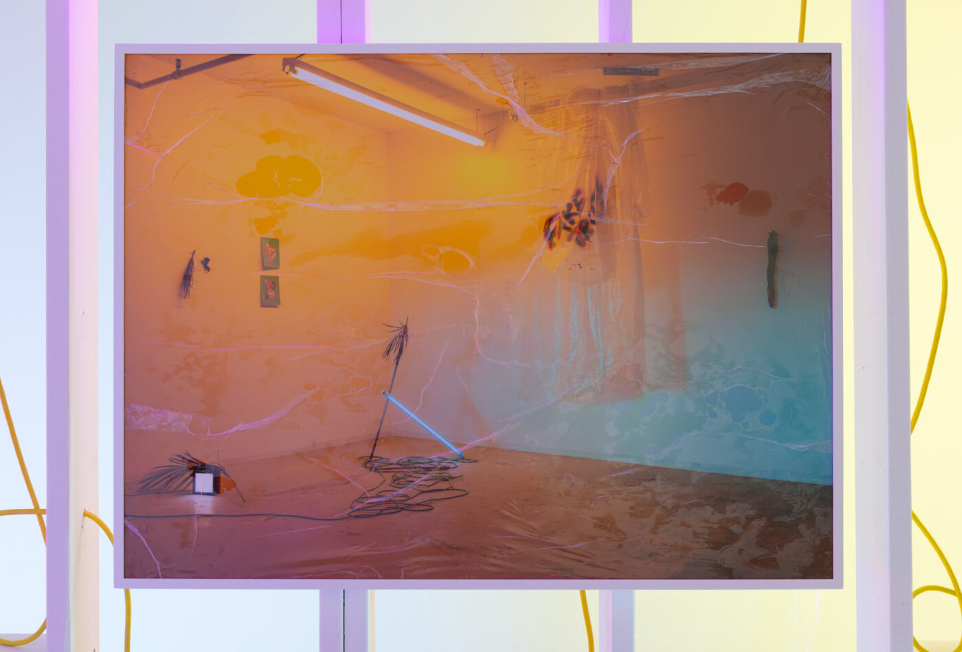 CRÉDIT PHOTO: PAUL LITHERLAND