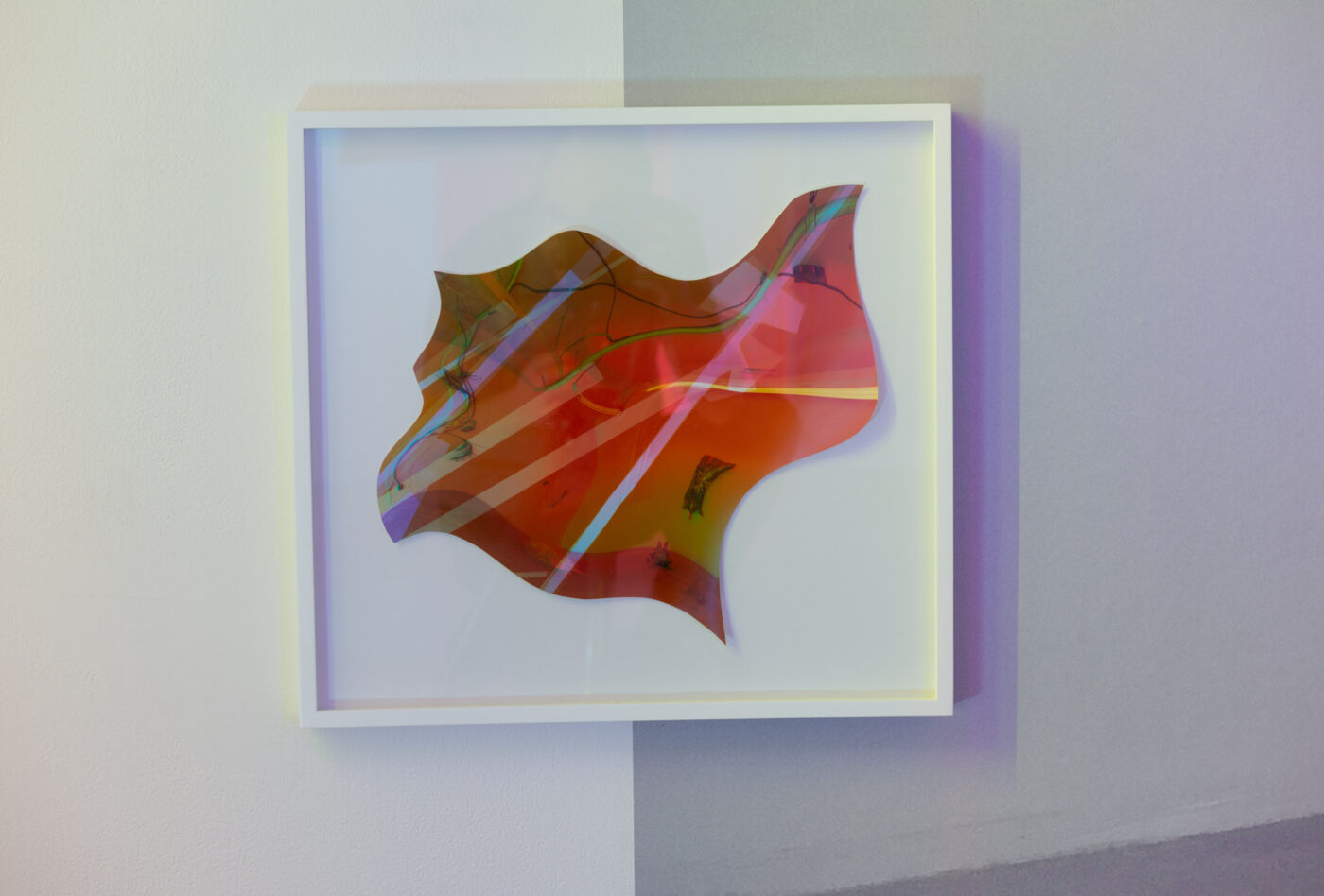 CRÉDIT PHOTO: PAUL LITHERLAND