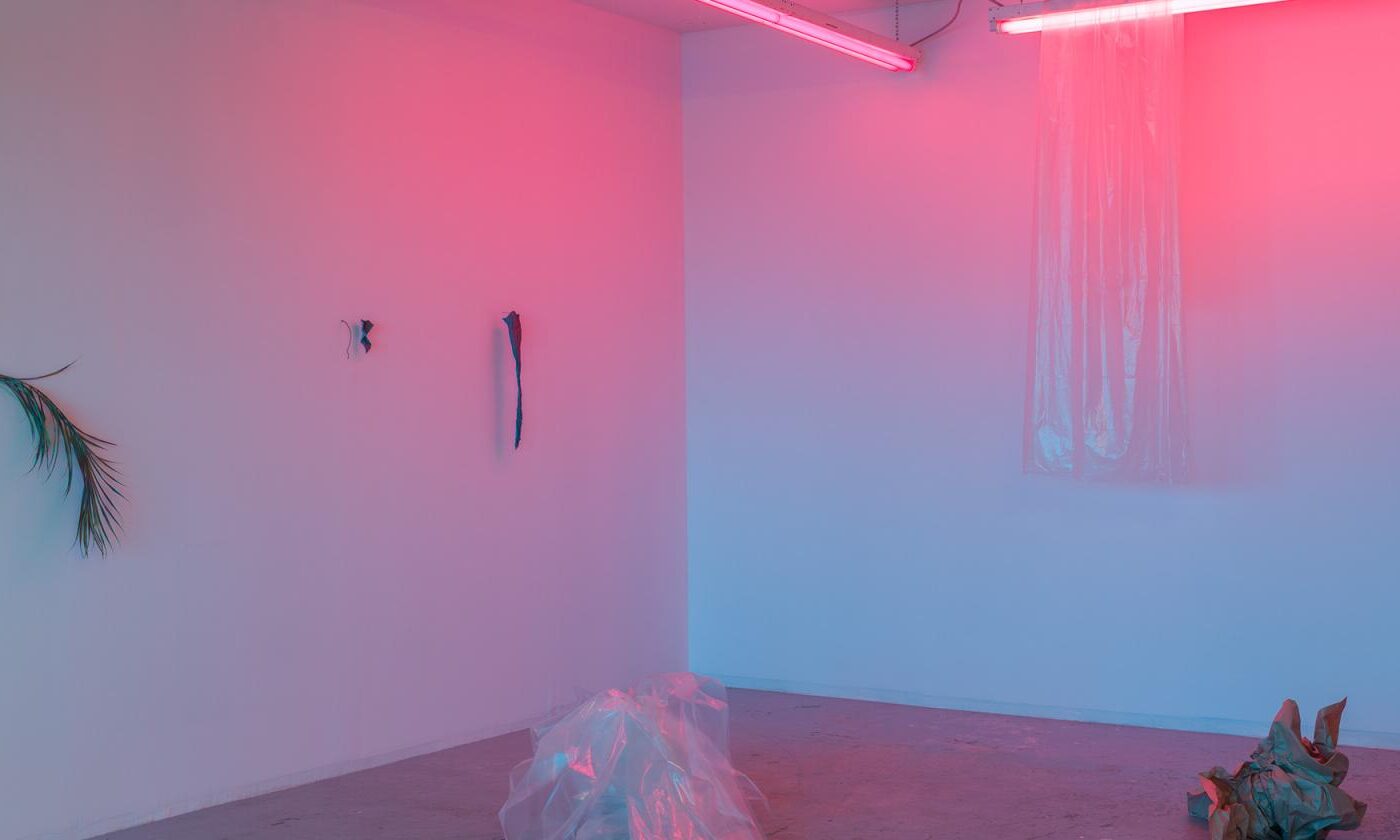 Patryk Stasieczek, Iterative Space (Pink Azure), 2018