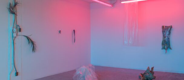 Patryk Stasieczek, Iterative Space (Pink Azure), 2018