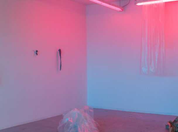 Patryk Stasieczek, Iterative Space (Pink Azure), 2018