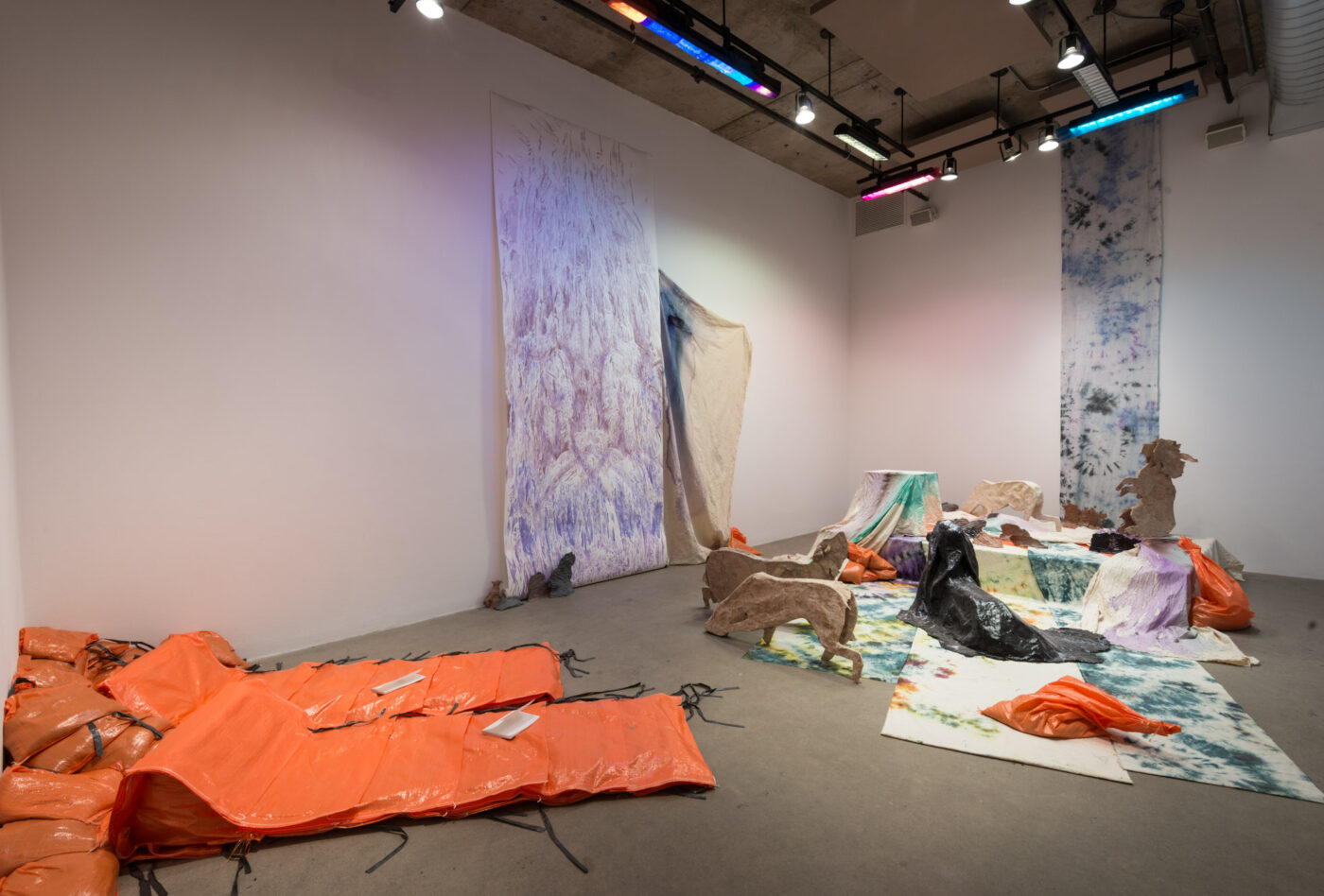 CRÉDIT PHOTO: PAUL LITHERLAND