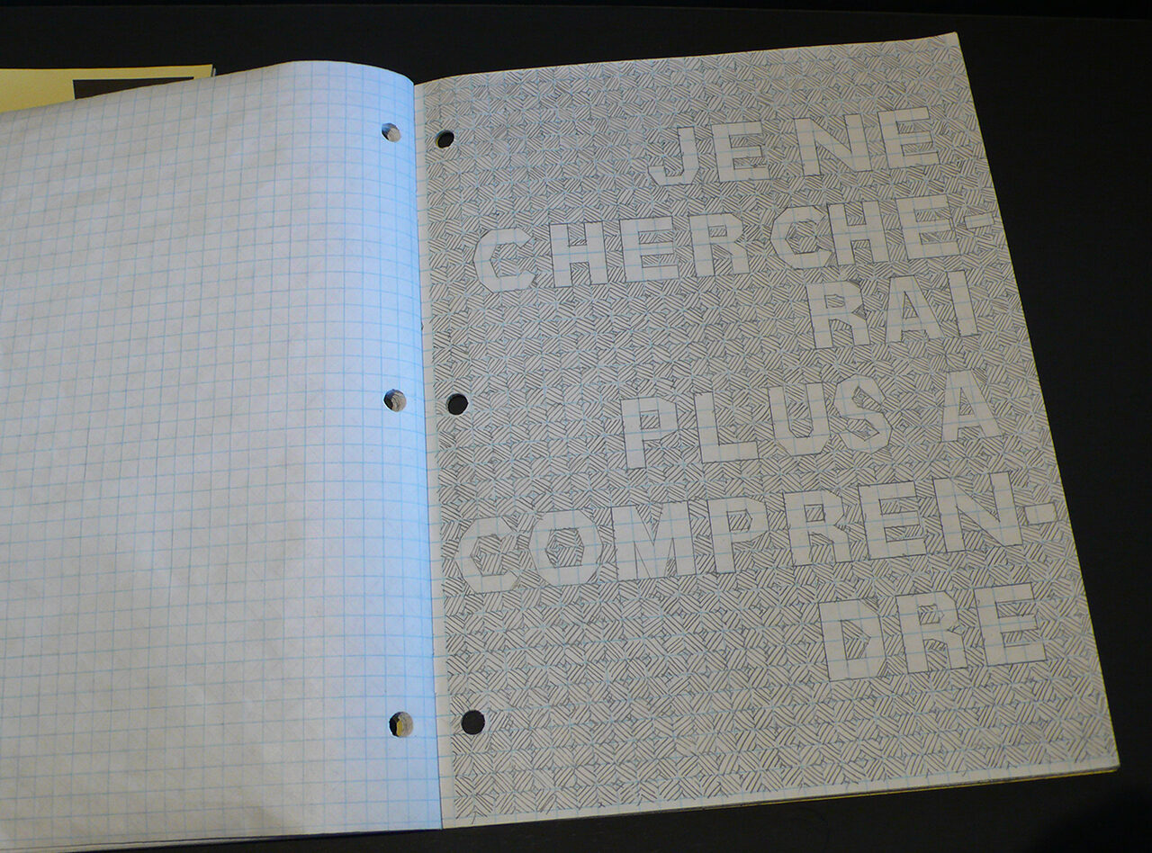 ISABELLE LAVERDIÈRE « NE POURRA PAS MIEUX FAIRE », 2011 CRÉDIT PHOTO. : EMMANUEL GALLAND