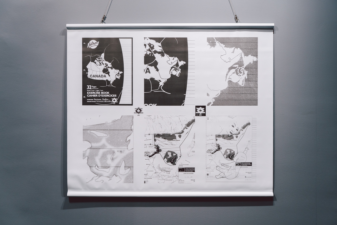 MARIANNE PAPILLON « SCIENCES NATURELLES », 2012-2014 CRÉDIT PHOTO. : JEAN-MICHAEL SEMINARO MPAPILLON.WORDPRESS.COM