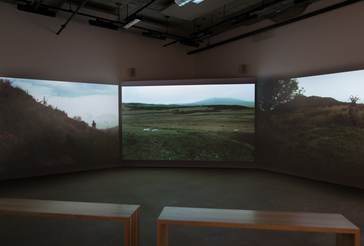 CRÉDIT PHOTO : PAUL LITHERLAND