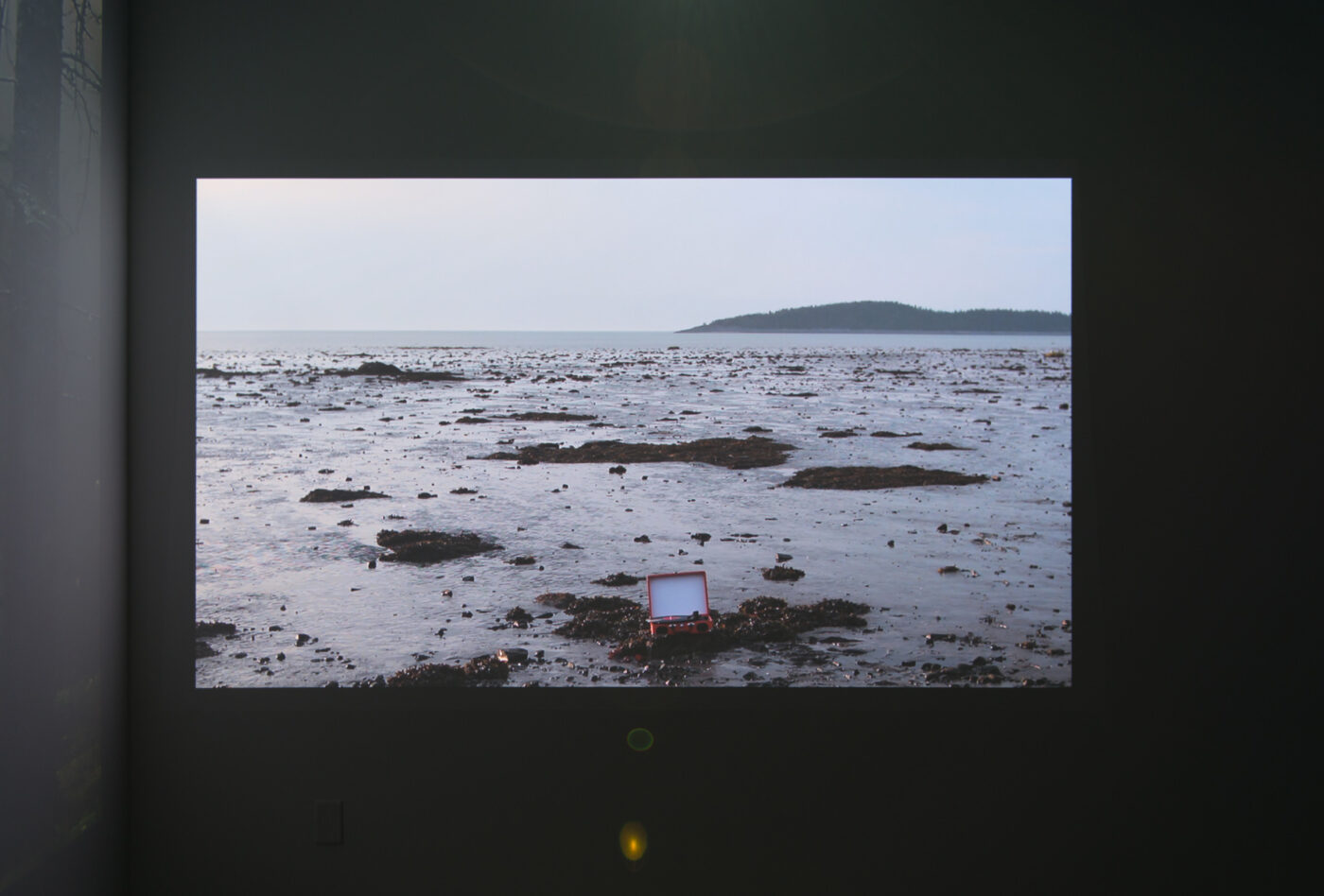 CRÉDIT PHOTO : PAUL LITHERLAND