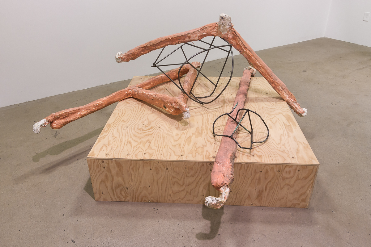 CRÉDIT PHOTO : PAUL LITHERLAND