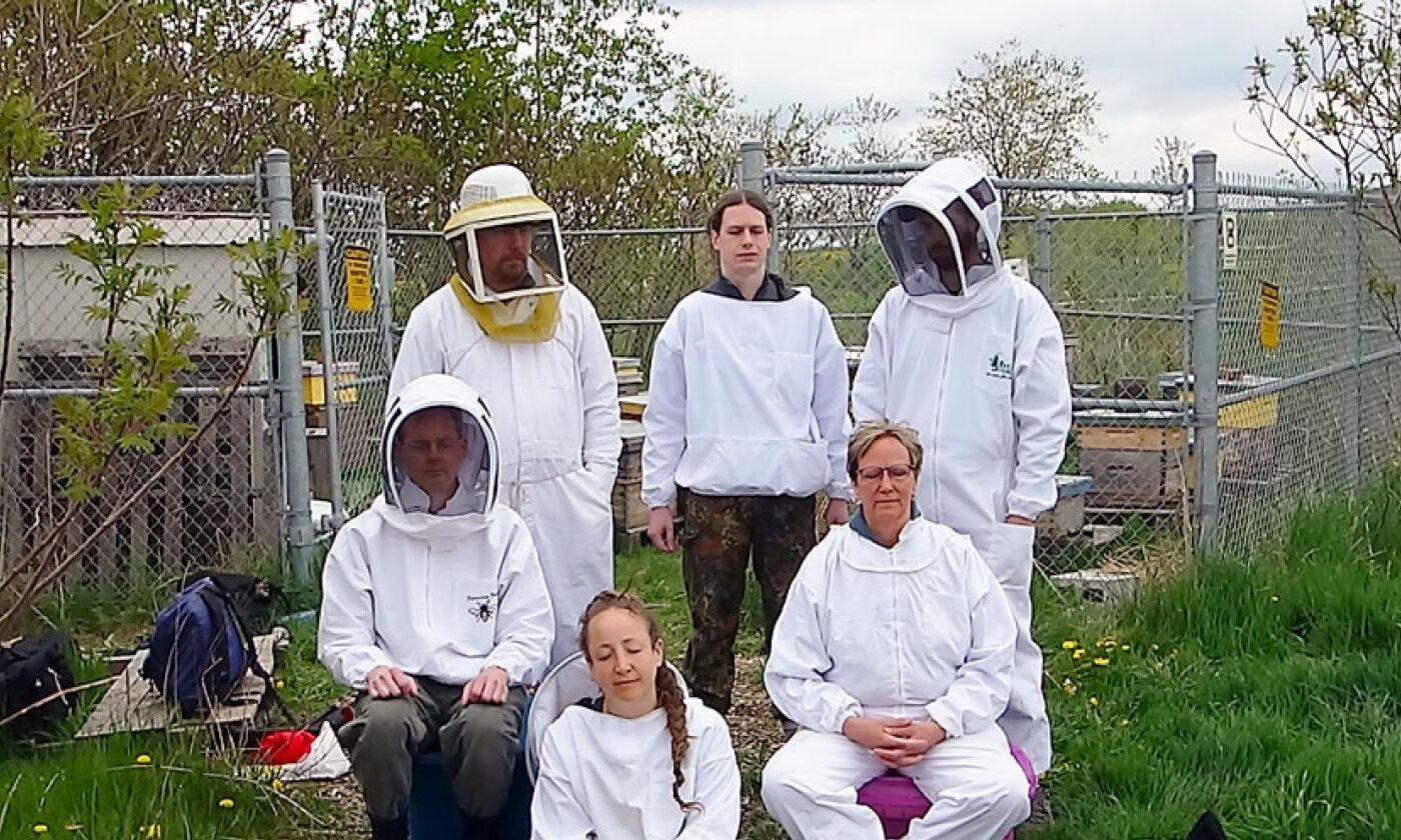 DIANE BORSATO | APIARY VIDEOS