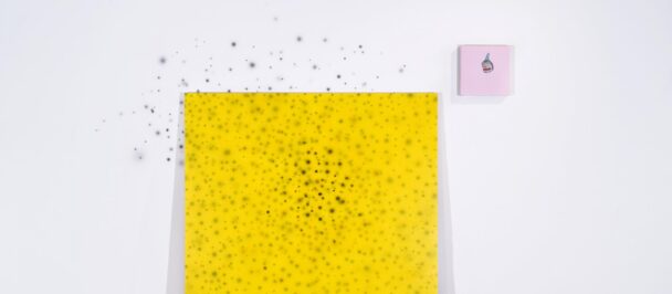 DAN BRAULT | Le small bang
