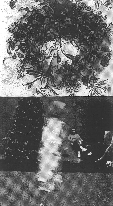 Florid, 1992. Diptych 30" X 60": Colour photogrtaphs