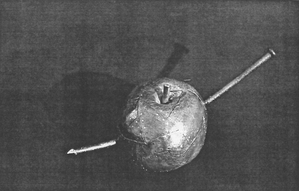 Clou de foudre, 1993