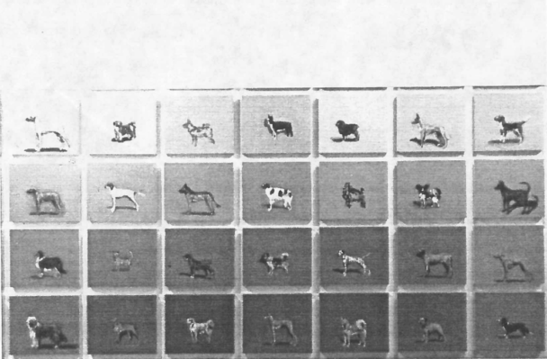 Dog show (detail) 1993