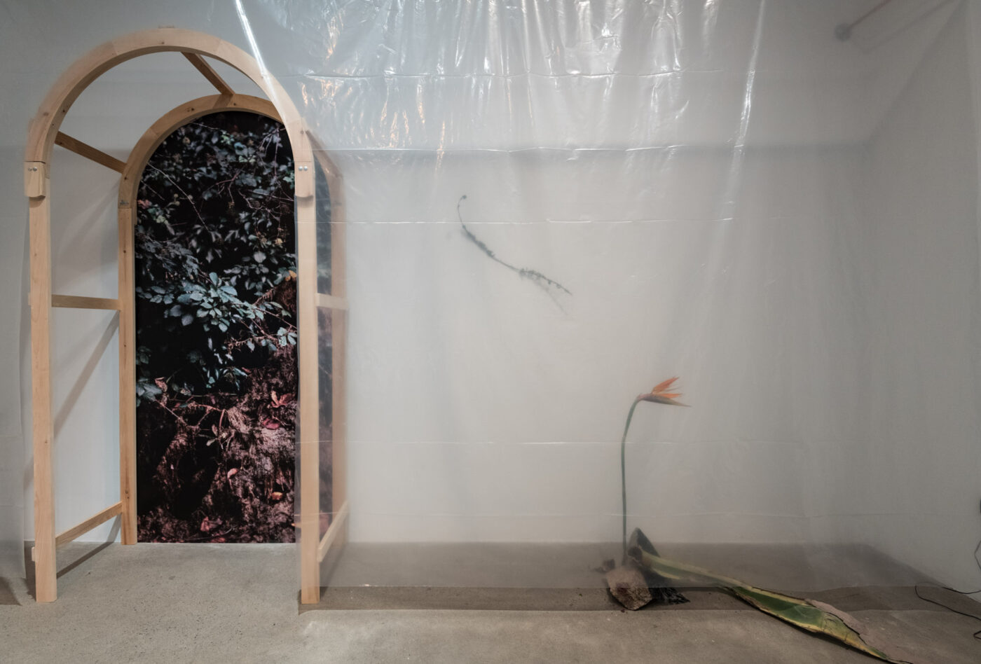 Artiste : Eve Tagny. Crédit image : Paul Litherland