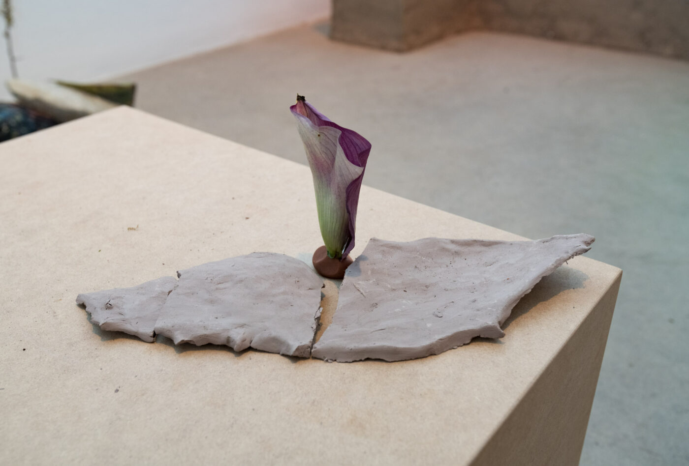 Artiste : Eve Tagny. Crédit image : Paul Litherland