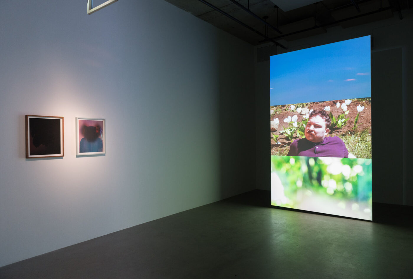 David Martineau Lachance, 'Ode aux coeurs endormis', photo : Paul Litherland