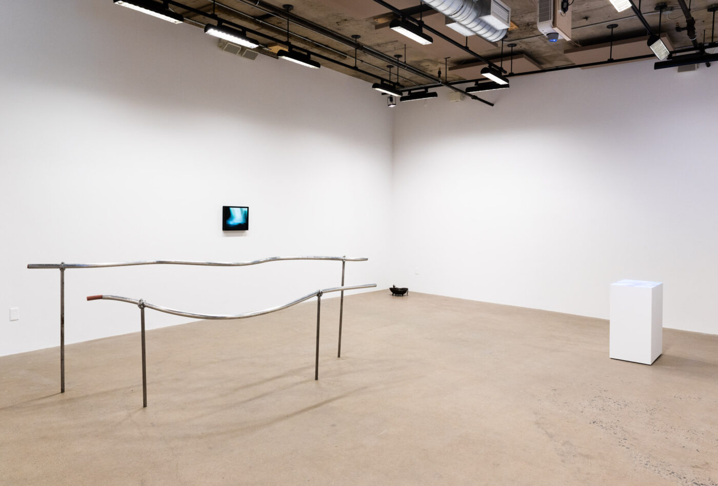 Crédit image : Paul Litherland