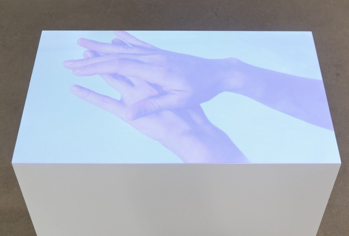 Crédit image : Paul Litherland