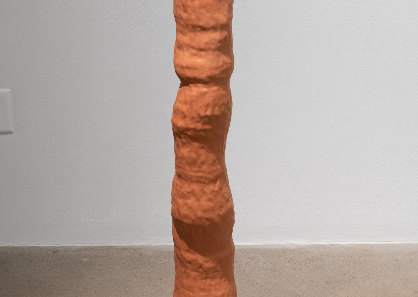 CRÉDIT IMAGE : PAUL LITHERLAND