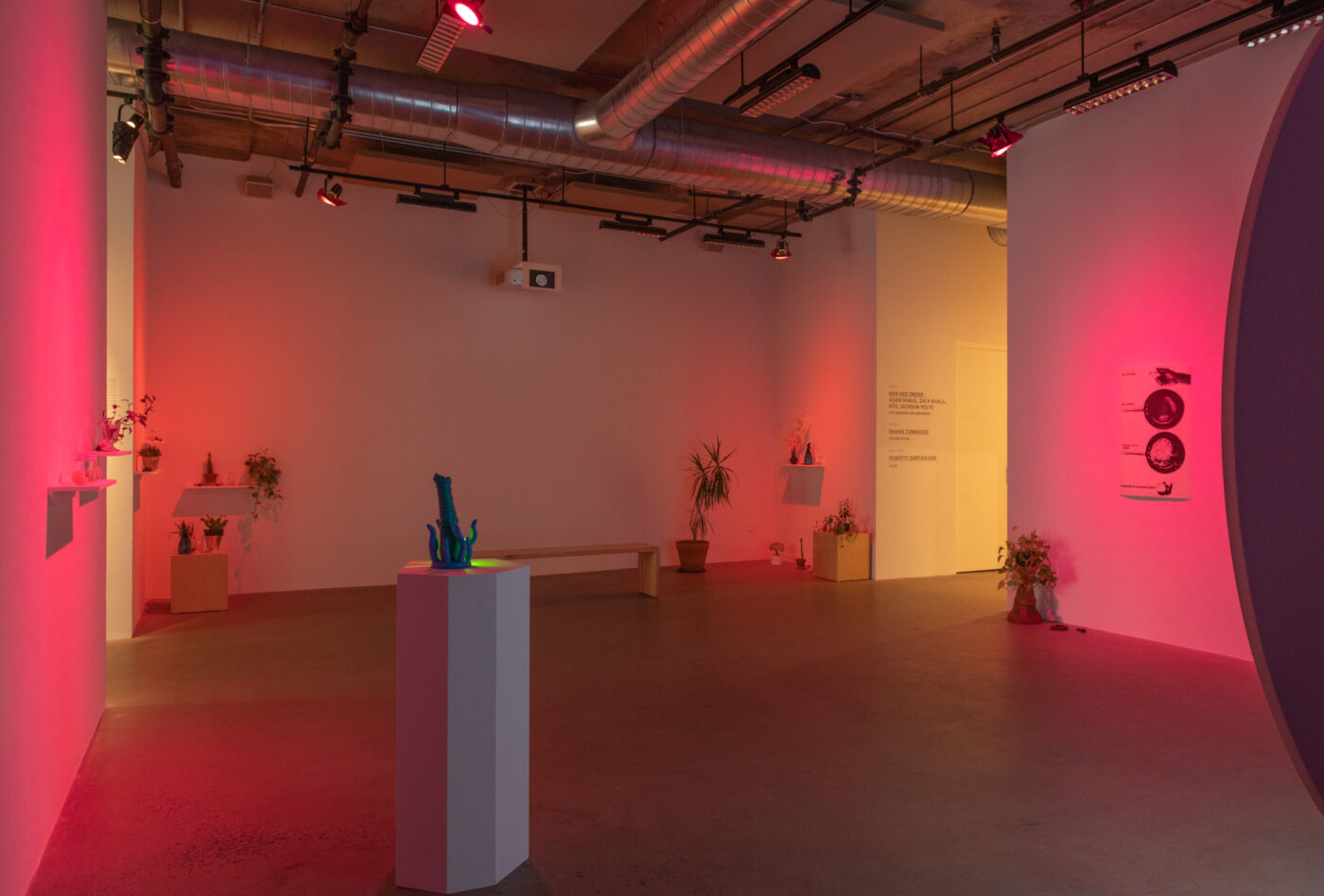 CRÉDIT IMAGE : PAUL LITHERLAND