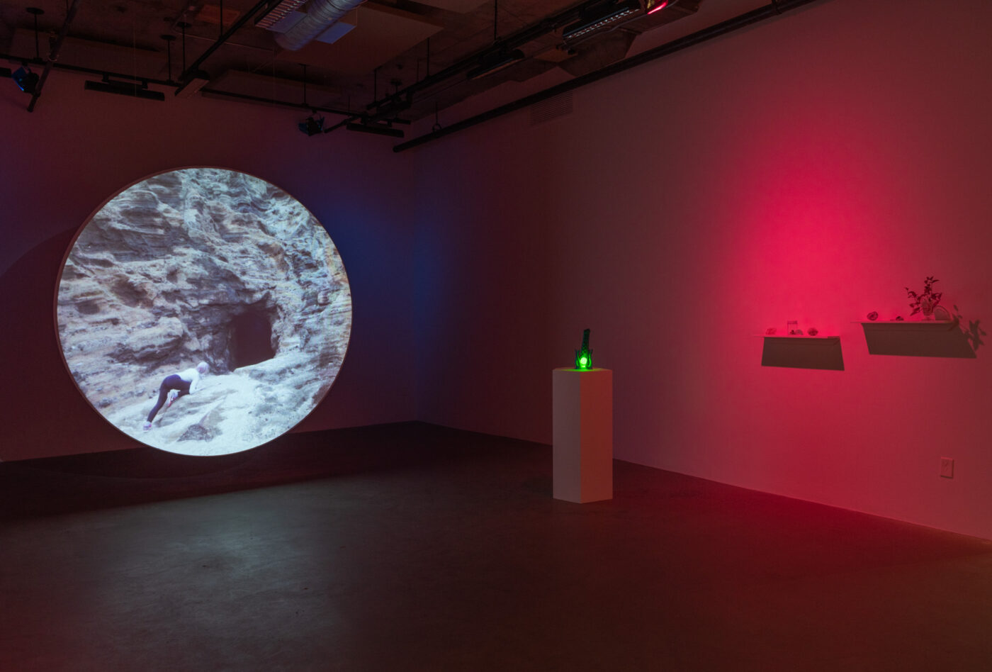 CRÉDIT IMAGE : PAUL LITHERLAND