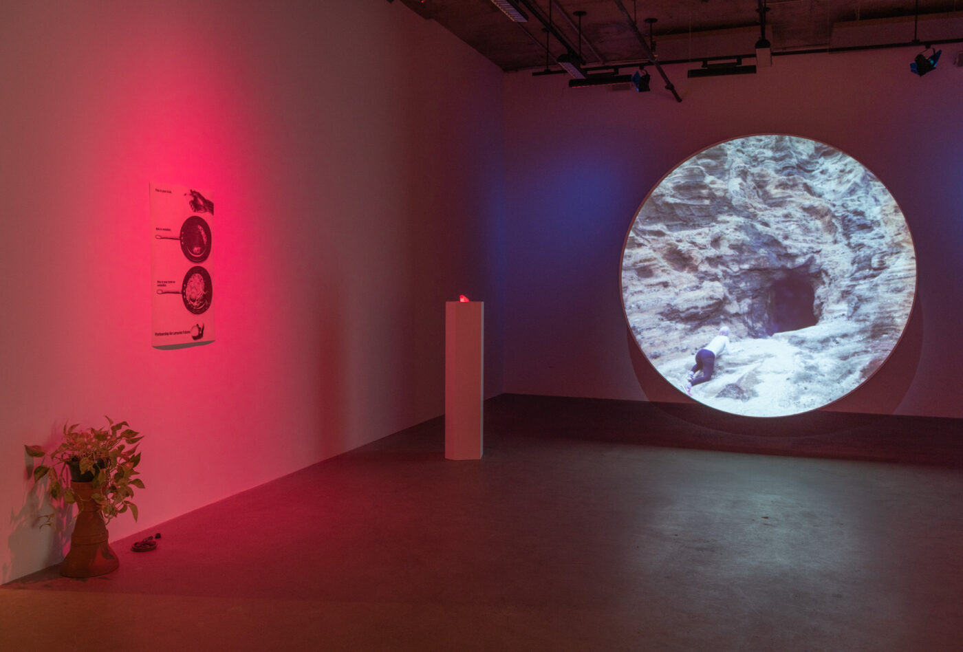 CRÉDIT IMAGE : PAUL LITHERLAND