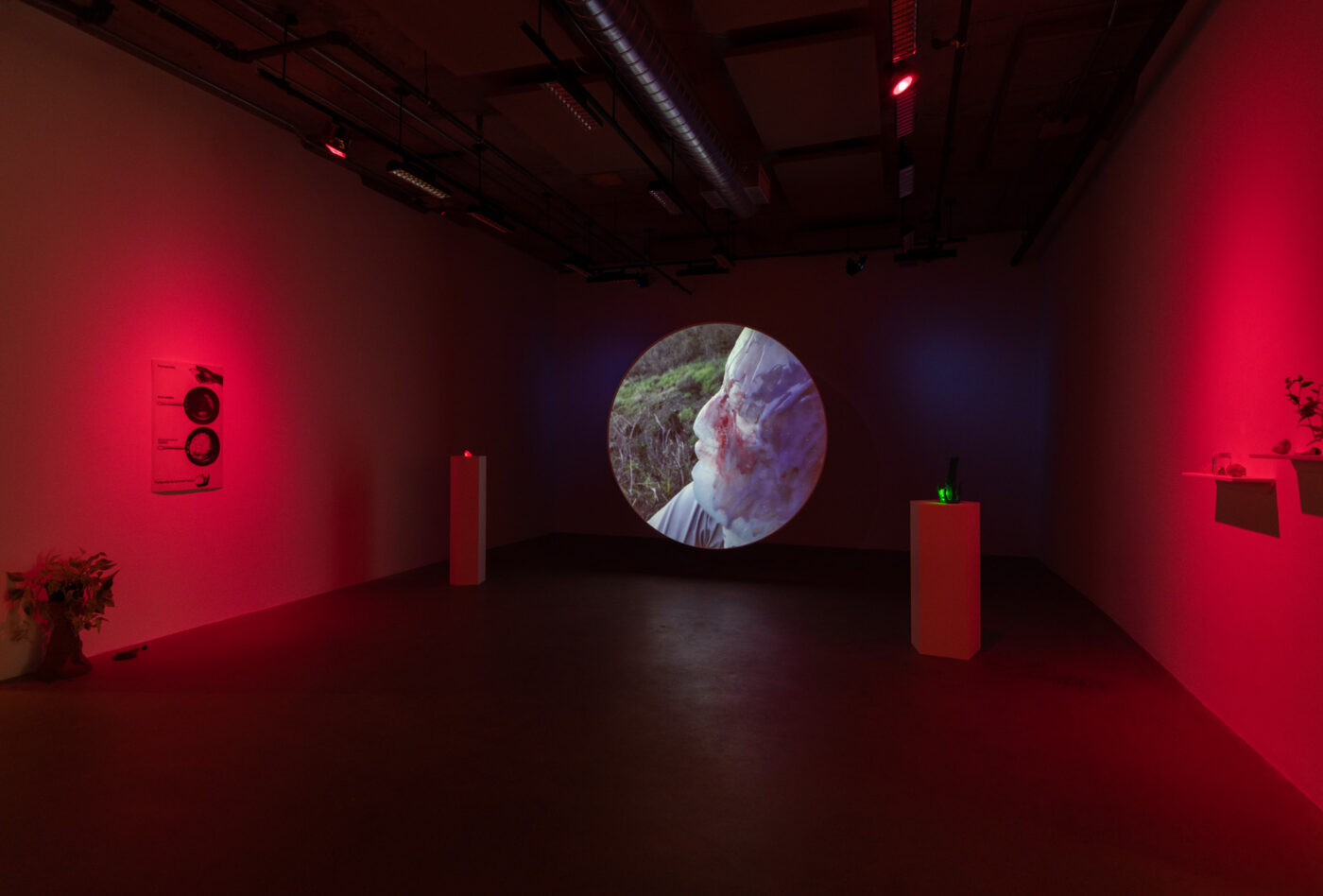 CRÉDIT IMAGE : PAUL LITHERLAND