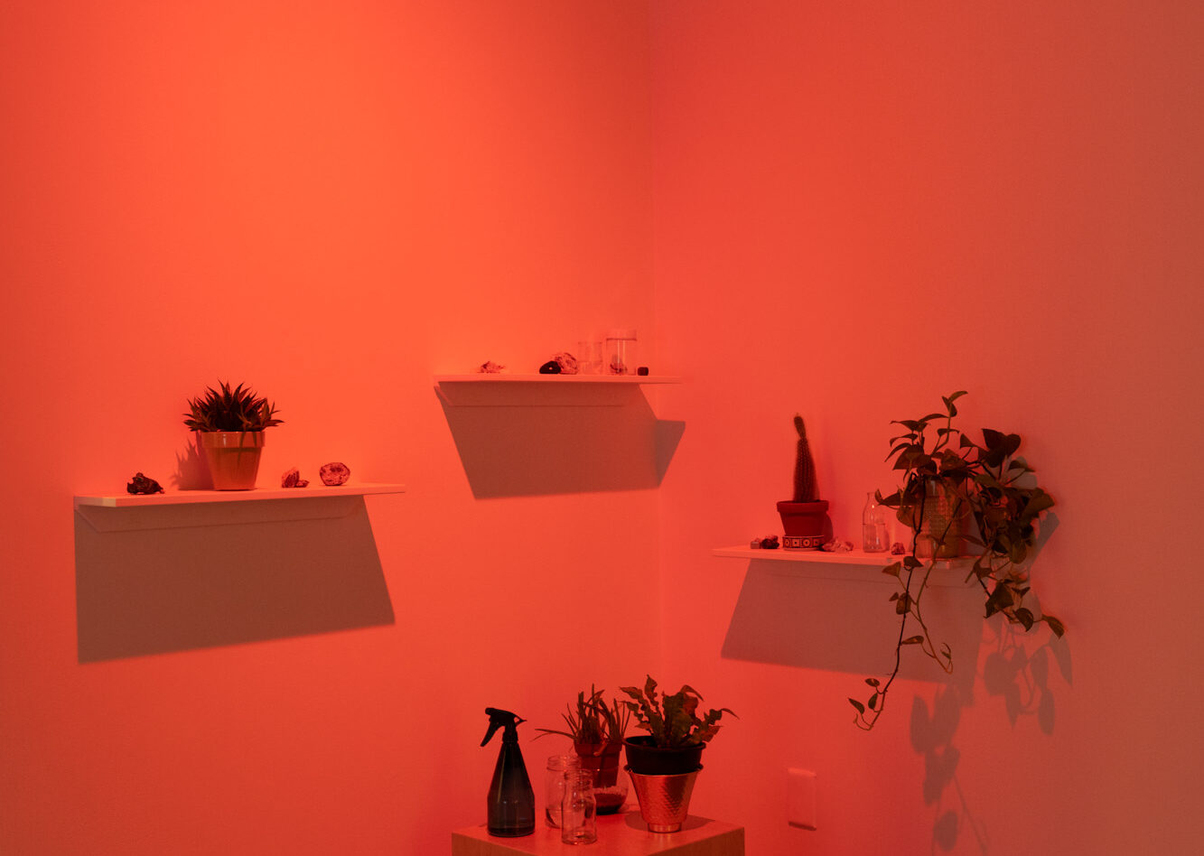 CRÉDIT IMAGE : PAUL LITHERLAND