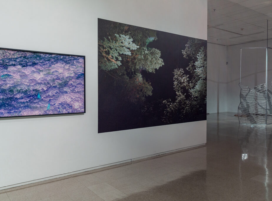 Par la forêt, Musée d'art contemporain des Laurentides, 2018. 
© Lucien Lisabelle