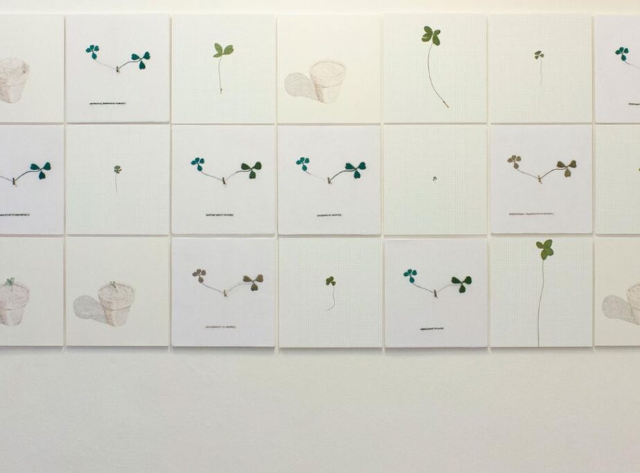 Champs de Trèfle, Galerie Réunion, Paris, 2019