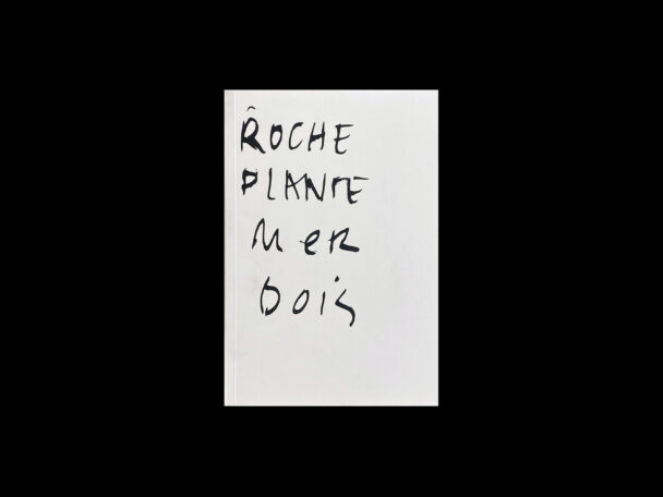 Roche Plante Mer Bois