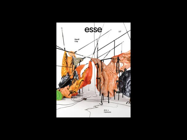 esse 117: Handi / Crip